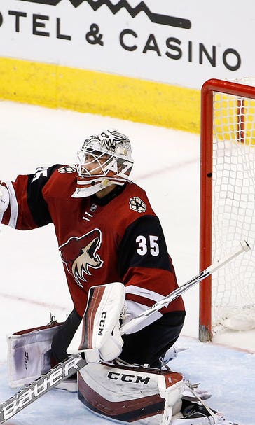 Red Wings rally for OT win in Arizona to finish road trip 5-1